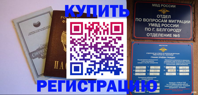 временная прописка в Кингисеппе